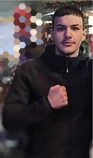 5356603946556646 image