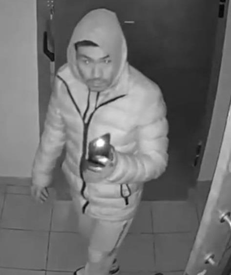 5356641828696202 image