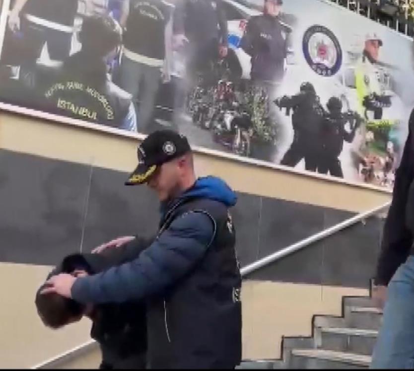 5357204289567151 image