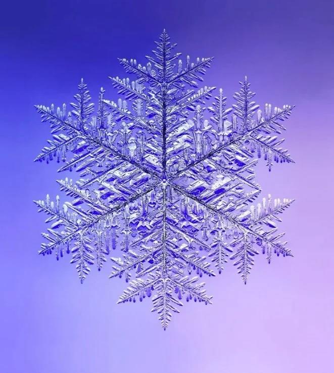 5357472778036491 image