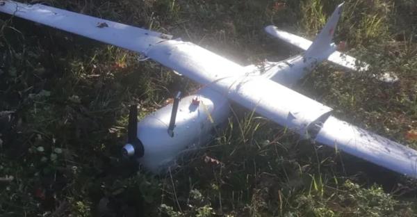 5357932662798766 image