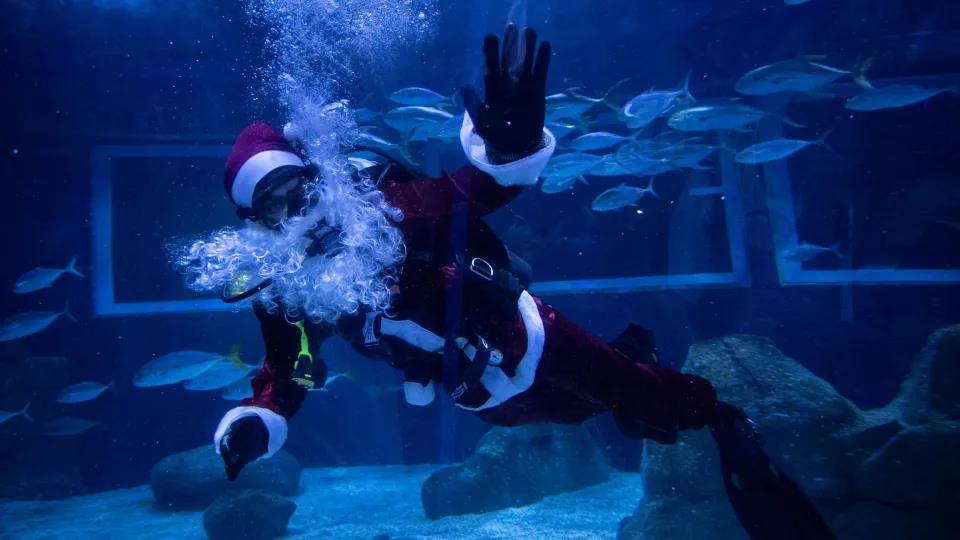 5358104470236120 image