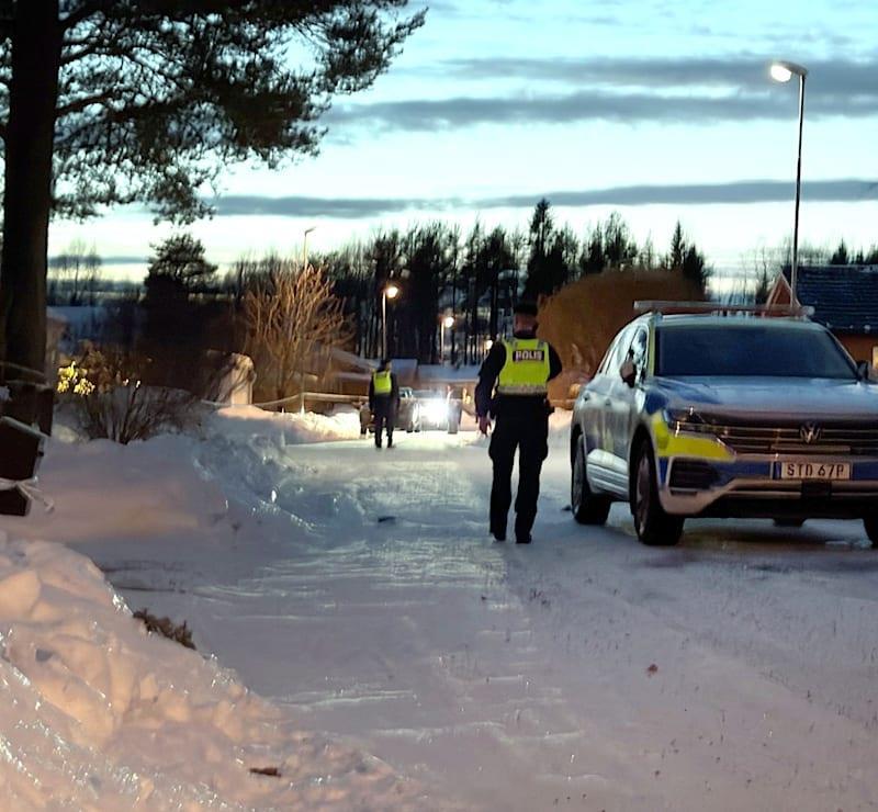 5359254725270995 image