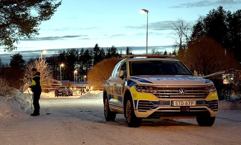 5359254669428085 image