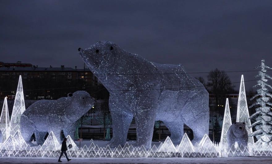 5359257546187942 image