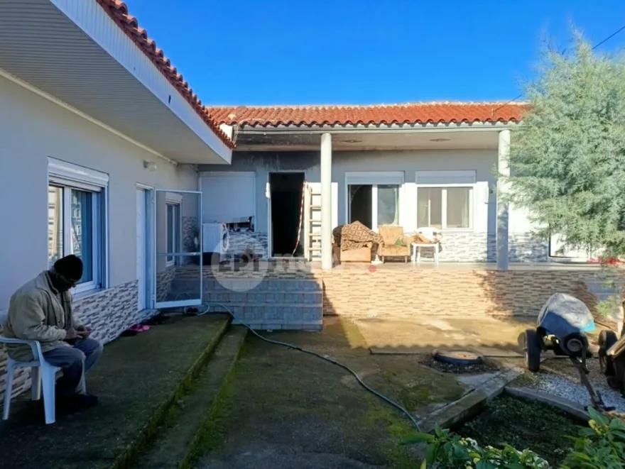 5360568570255411 image