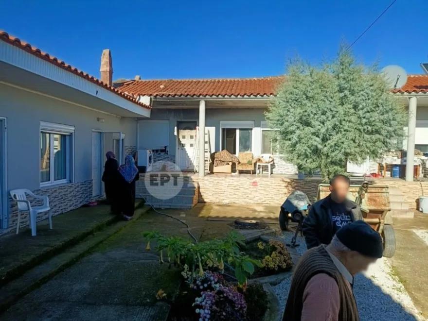 5360568721915835 image