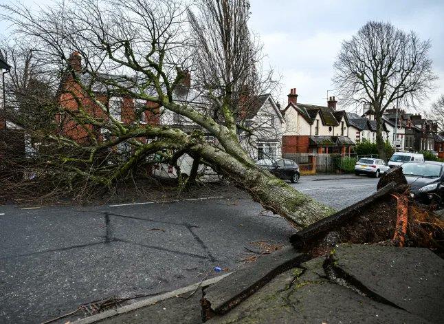 5361589300833846 image