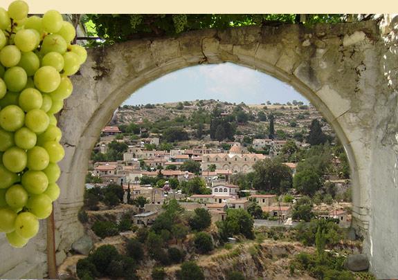 ΒΑΣΑ ΚΟΙΛΑΝΙΟΥ