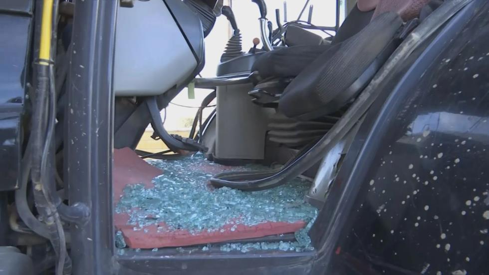 5363406318184660 image