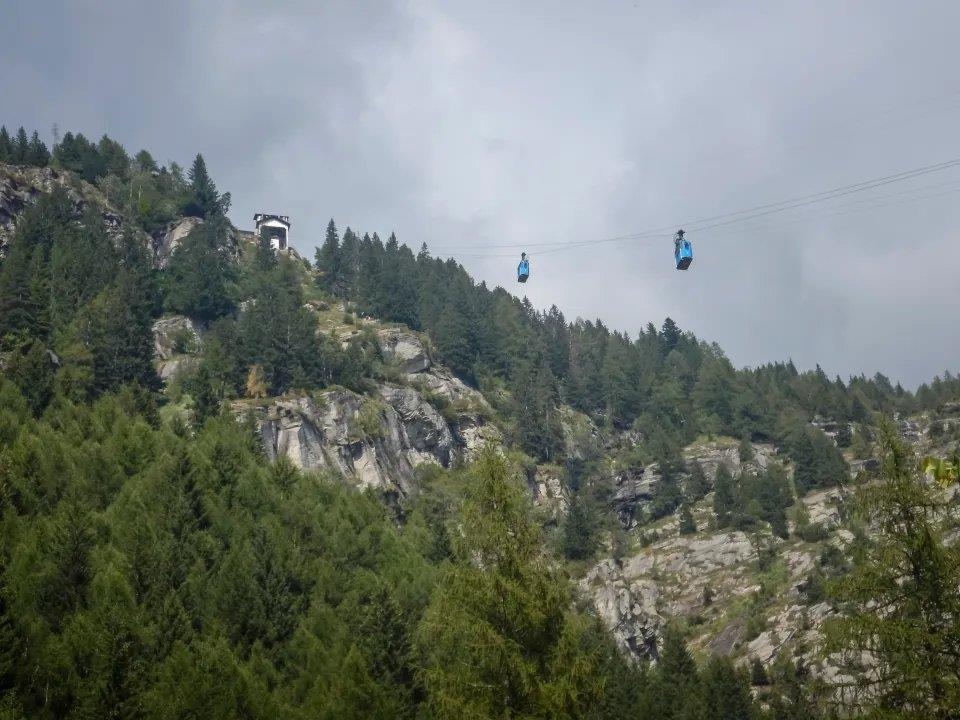 5363459808794862 image