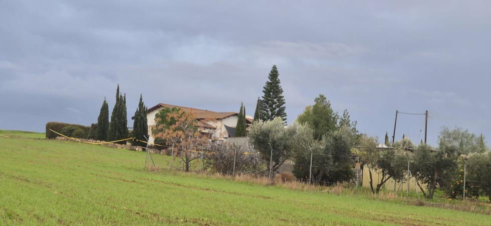 5364116796128384 image