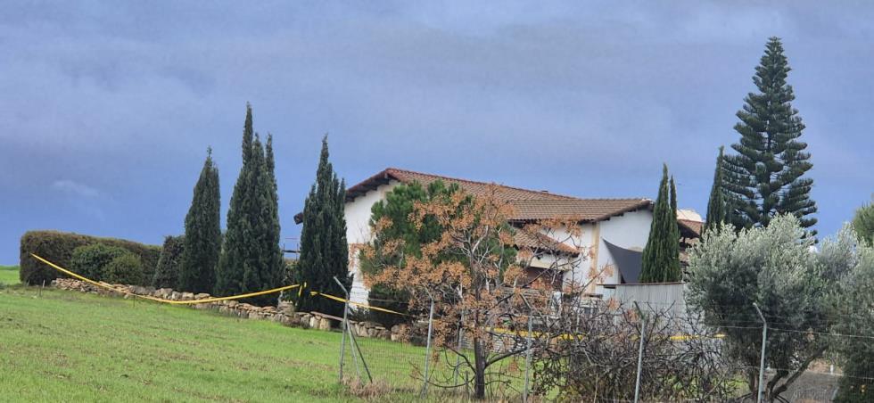 5364116848589601 image