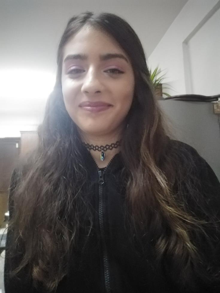 5364355295583307 image