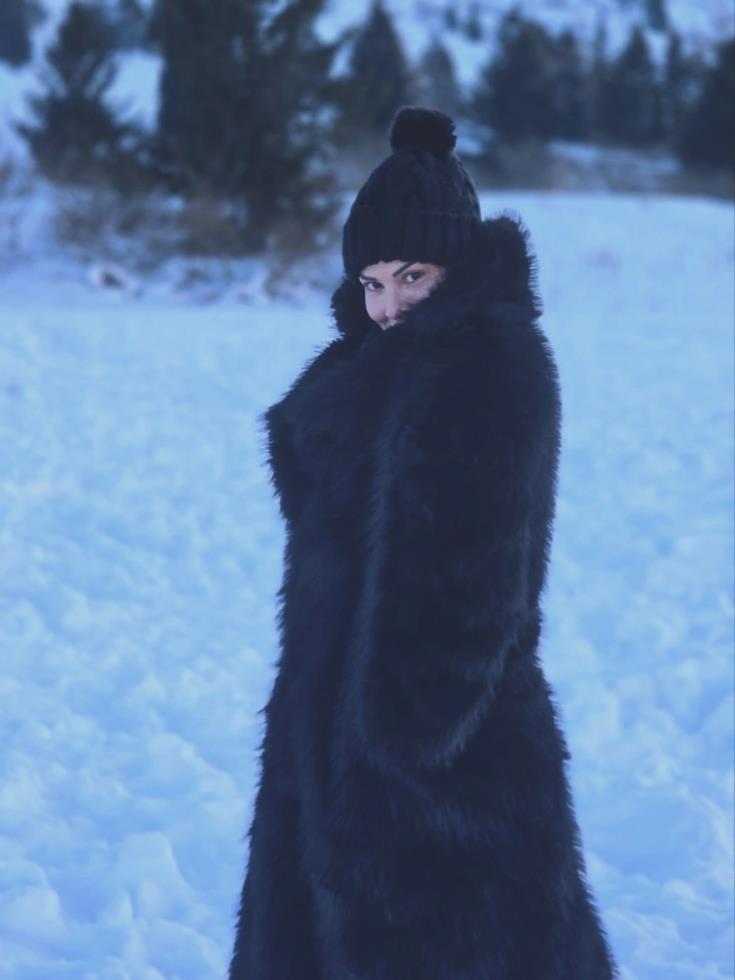 5365257955517308 image