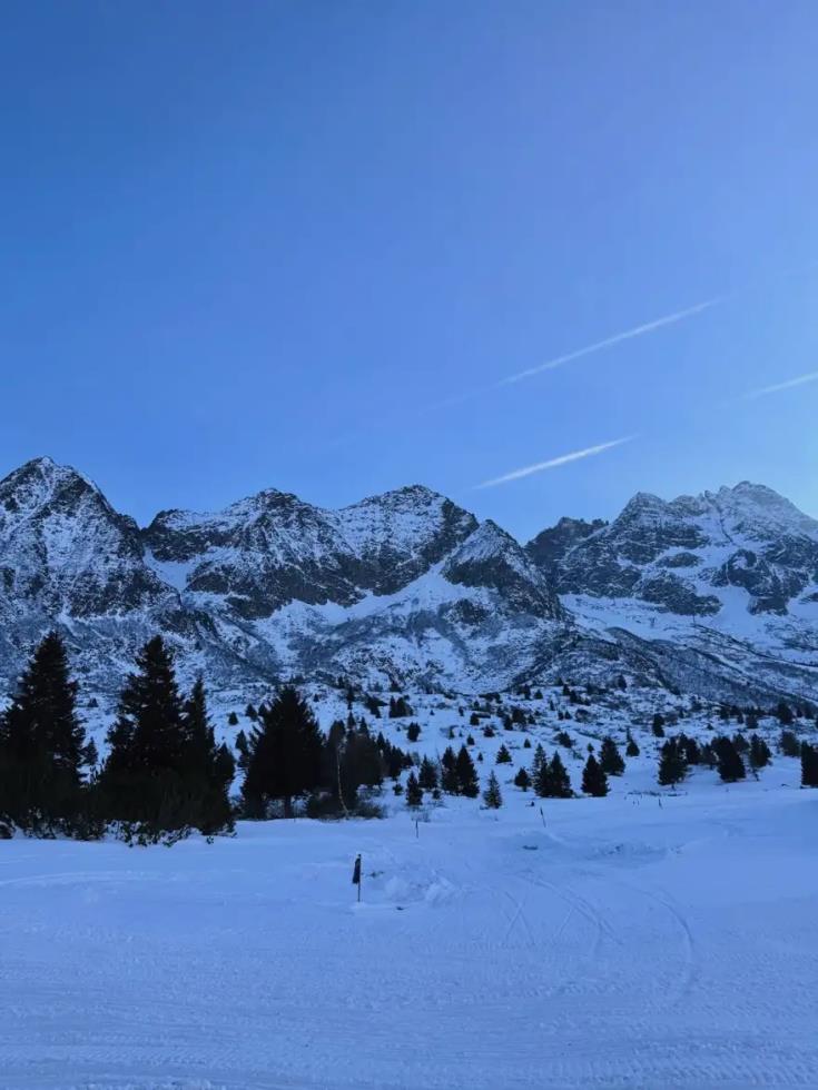 5365258228174908 image