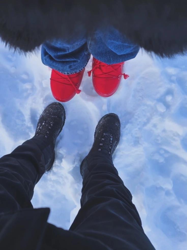 5365258283799816 image