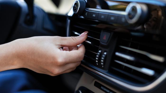 5365804968209168 image