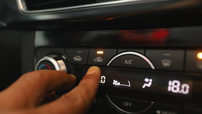 5365805478695838 image