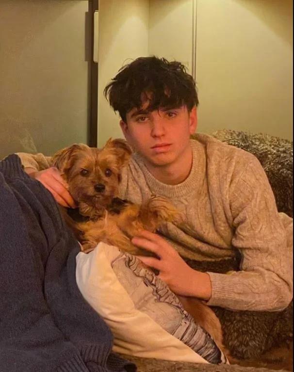 5366564753331221 image