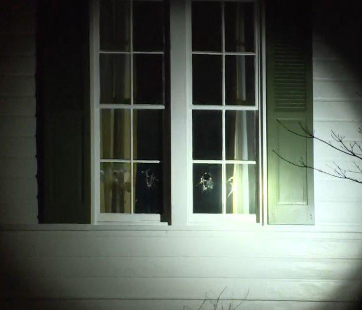 5368562041836554 image