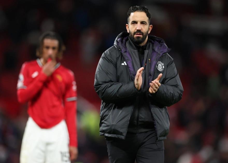 5368667841542184 image