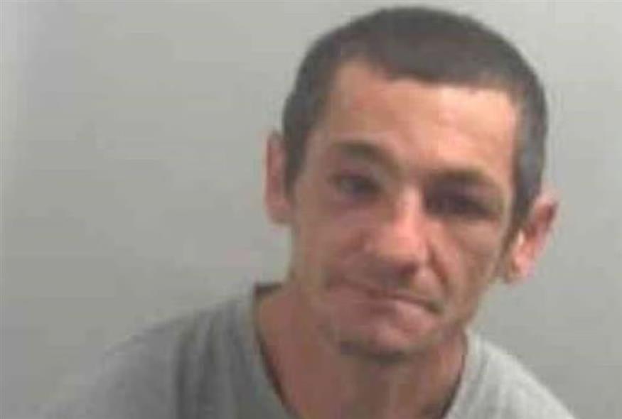 5368691284892162 image