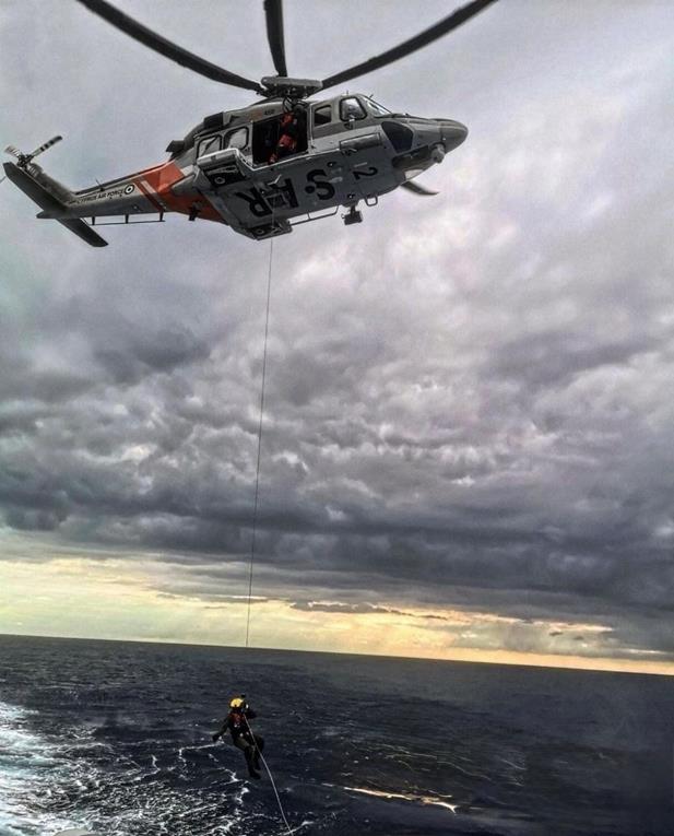 5370327254105692 cats