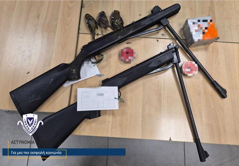 5371804301385377 image