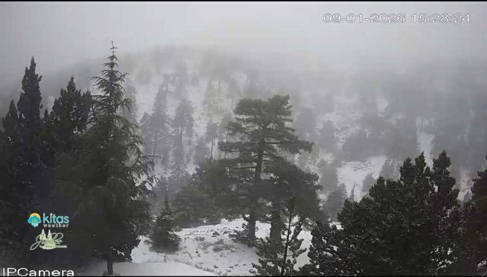 5372095991456667 image