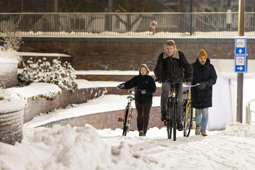 5372118461437824 image