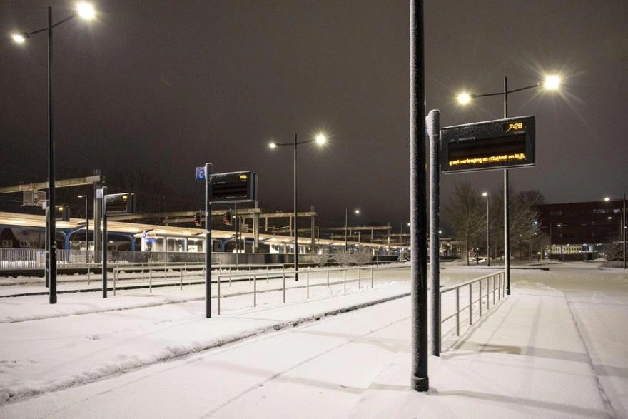 5372118515382218 image