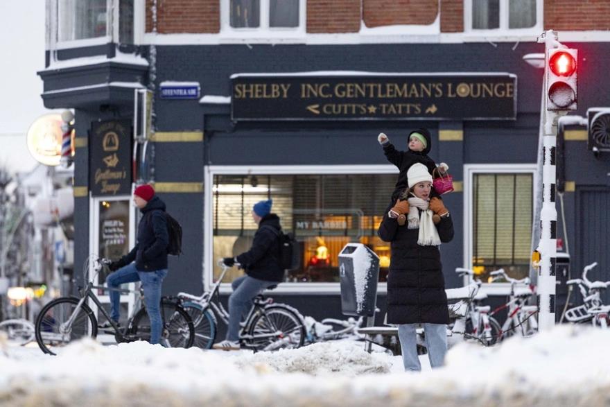 5372118567191444 image