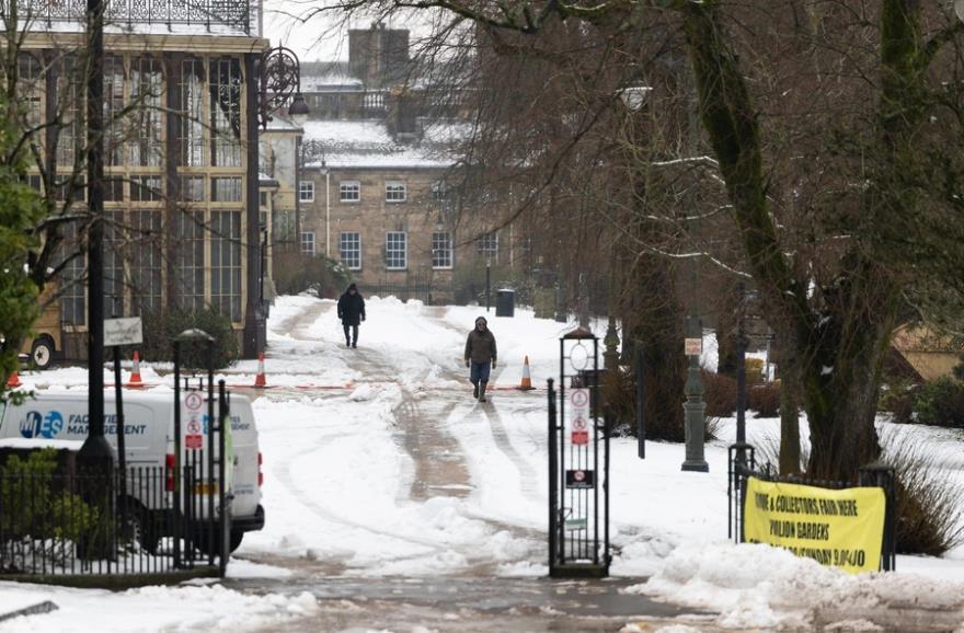 5372118678056534 image