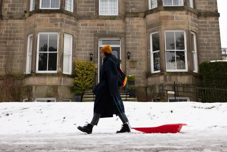 5372118816945061 image