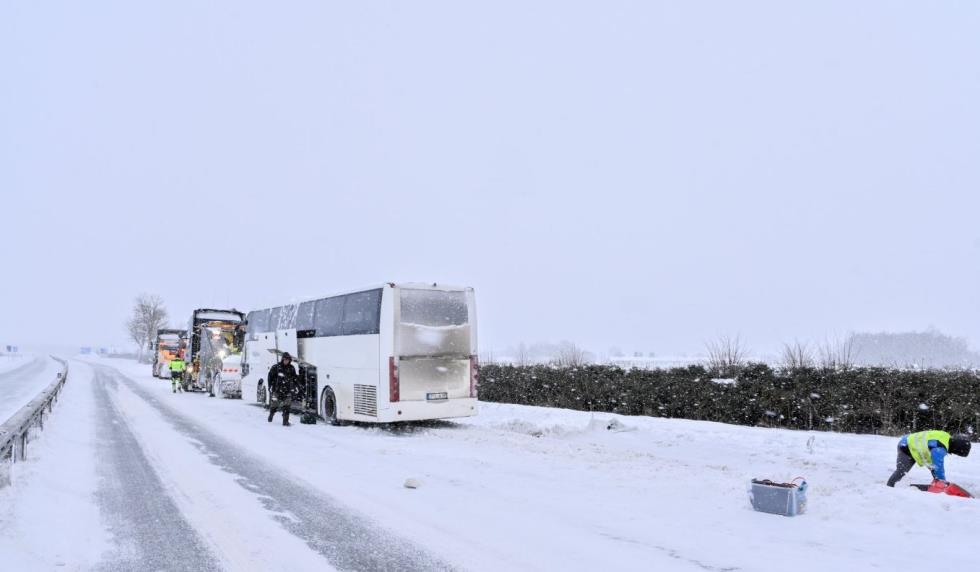 5372803004135764 Capture19