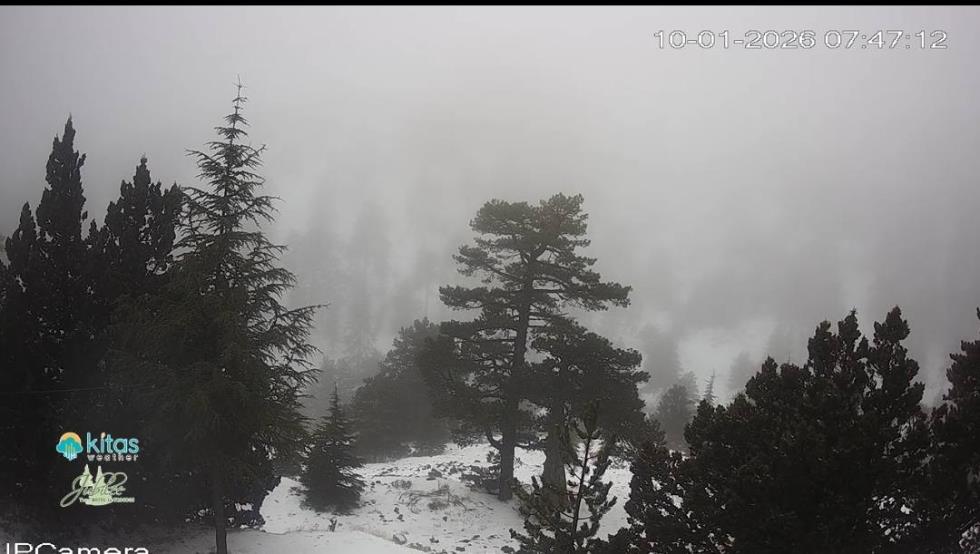 5372816736453832 image