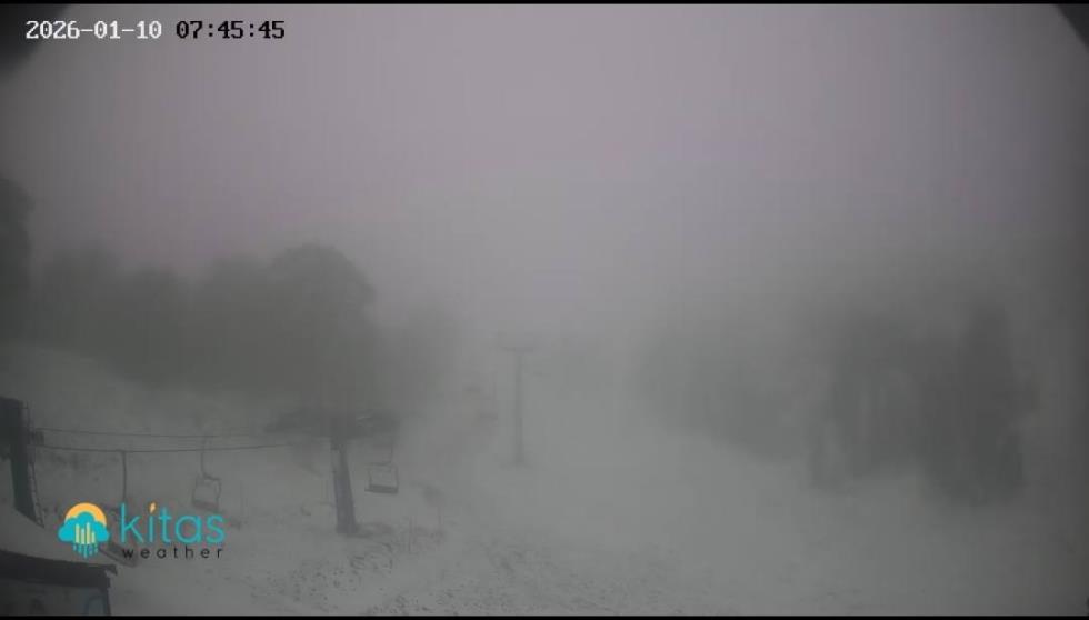 5372816801921877 image