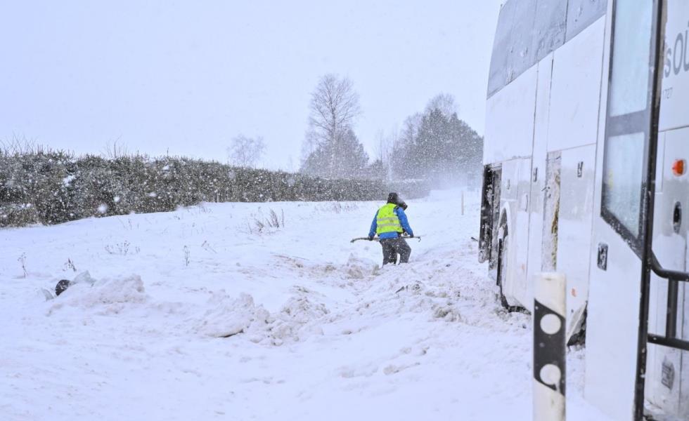 5372838338048725 image