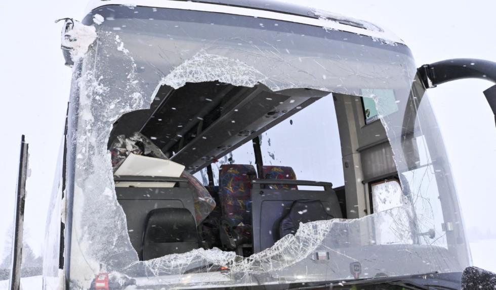 5372838670074495 image