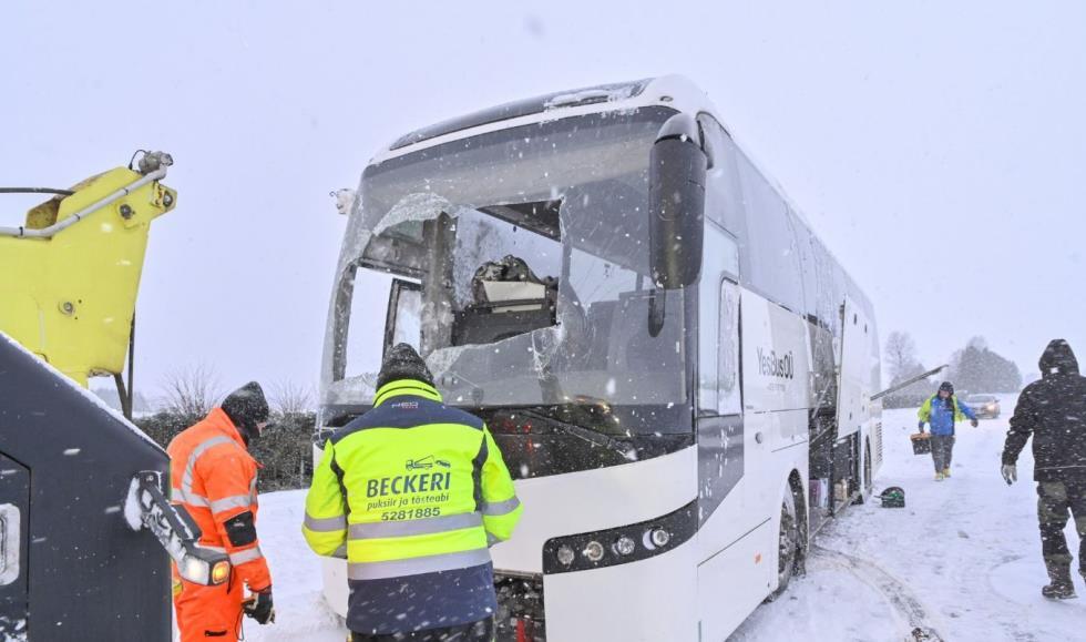 5372838908797136 image