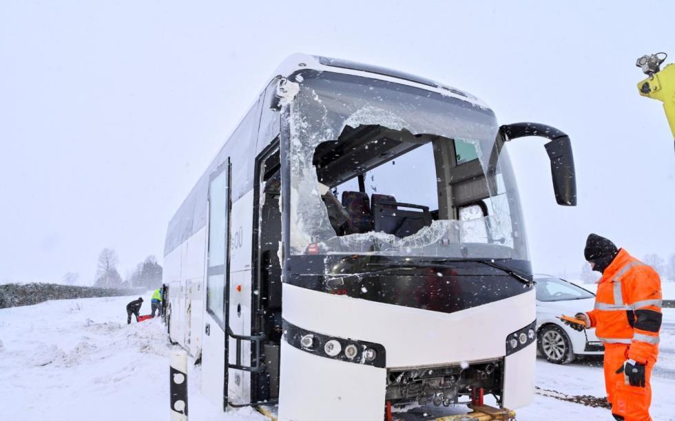 5372839258172330 image