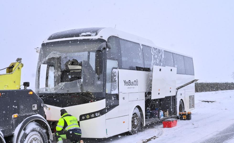 5373086999058510 image