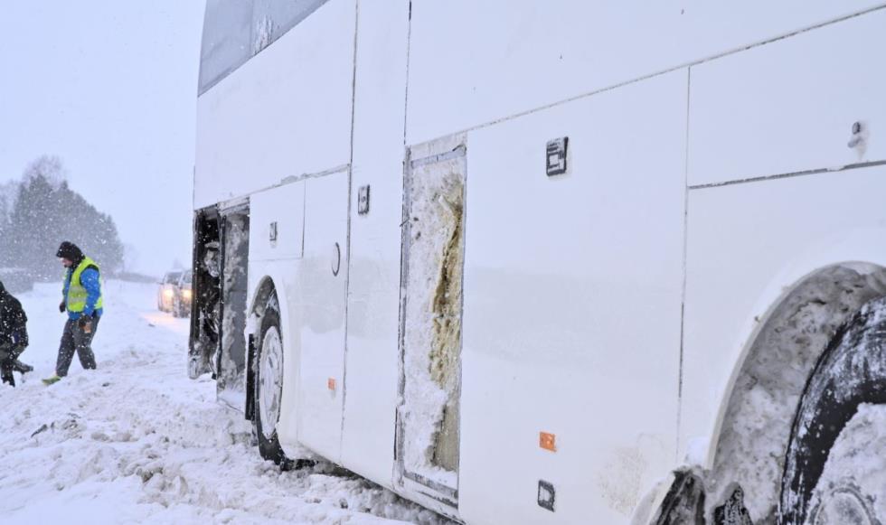 5373087287595955 image