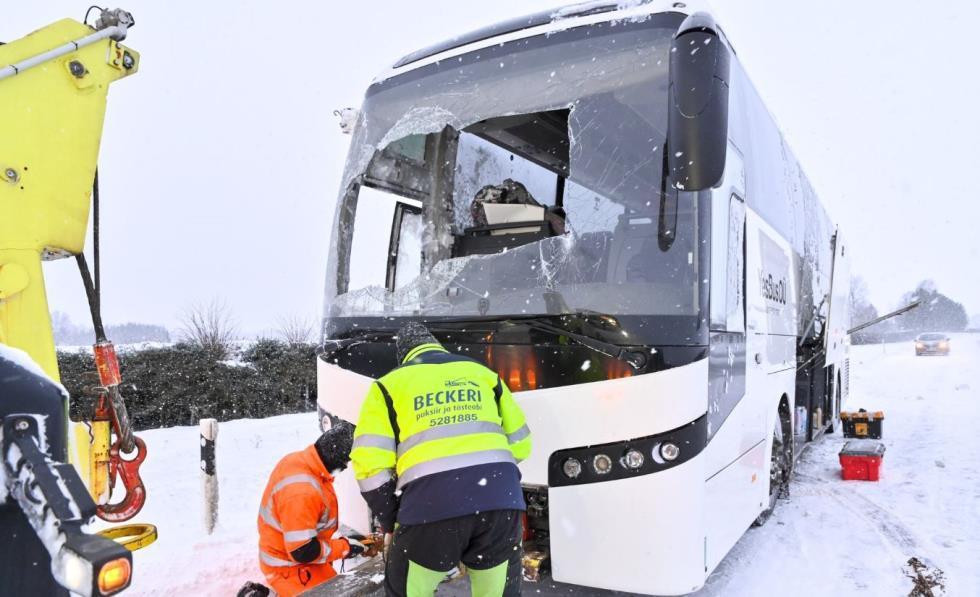 5373087576350545 image