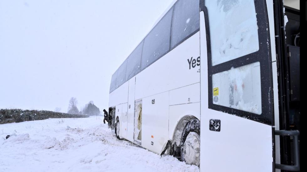 5373087683000247 image