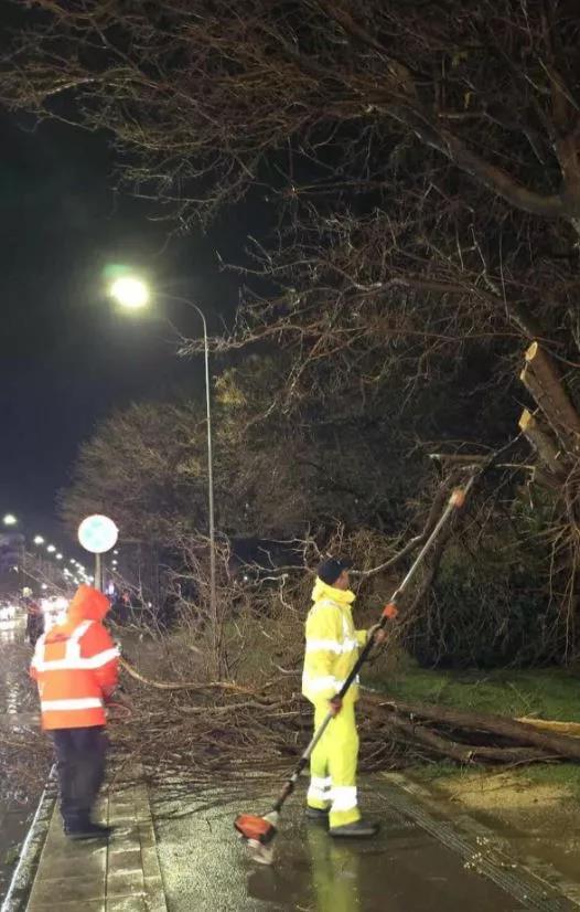 5373518635017346 image