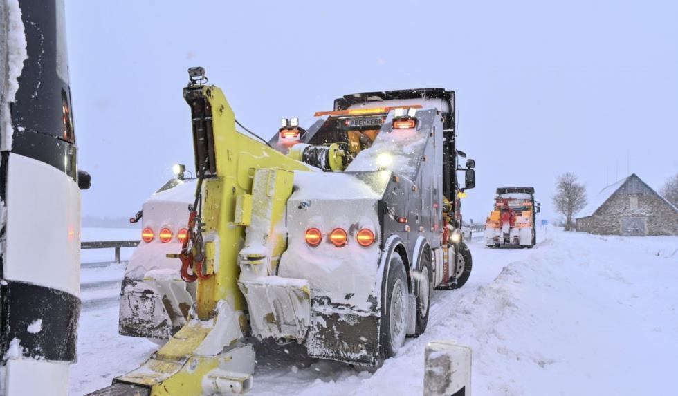 5373690115980273 image