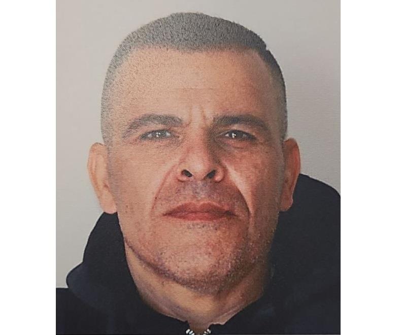 5373786216281488 SAEID-SALEHI