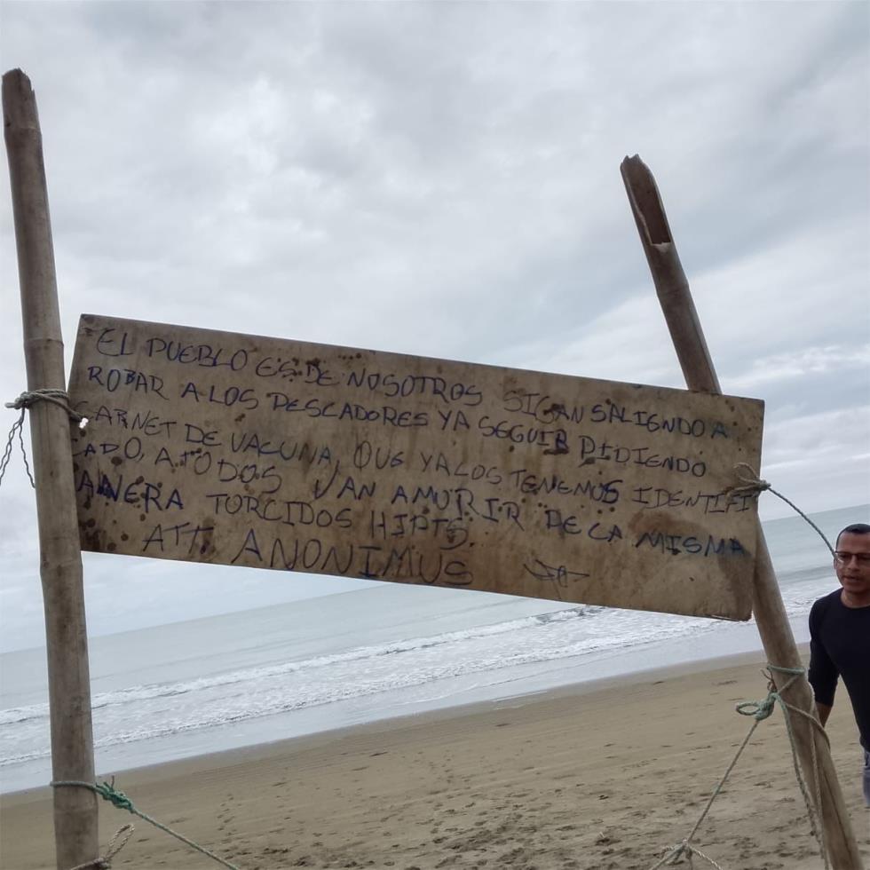 5374401572935112 image